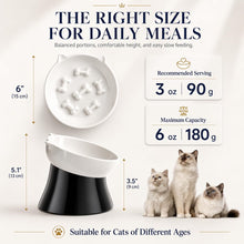 Load image into Gallery viewer, Elevated Slow Feeder Bowl - Ceramic Cat Bowl - Tilted Raised Anti Vomiting - Whisker Friendly - Dishwasher & Microwave Safe - 6 Inch