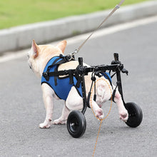 Load image into Gallery viewer, Dog Wheelchair, Adjustable Pets Cart Wheelchair for Back Legs, Dog Leg Brace