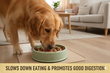 Load image into Gallery viewer, Bamboo Slow Feeder Dog Bowl with Anti Slip Grip Deep Promotes Slow Eating