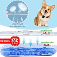 Load image into Gallery viewer, Disposable Male Dog Diapers Super Absorbent 100 Pack Leak Proof Ultra Dry Breath