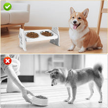 Load image into Gallery viewer, Dog Bowls with Stand Raised Dog/Cat Bowl 3 Height Adjustable with 2 Bowls Grey