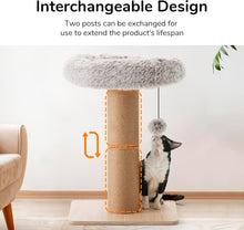 Load image into Gallery viewer, FUKUMARU Cat Scratching Post with Bed, Plant Style Kitten Scratcher, Solid Wood
