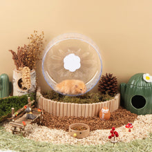 Load image into Gallery viewer, Bucatstate Hamster Wheel Super-Silent 21cm with Adjustable Base Dual-Bearing Exercise Wheel Quiet Spinning Running Wheel for Dwarf Syrian Hamster Gerbils and Other Small Animals