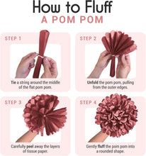 Load image into Gallery viewer, EpiqueOne Tissue Paper Pom Poms Blush Pink, Dusty Rose, Mauve & Cream 2 x 20pk