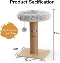 Load image into Gallery viewer, FUKUMARU Cat Scratching Post with Bed, Plant Style Kitten Scratcher, Solid Wood