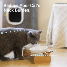 Load image into Gallery viewer, Comsaf Raised Cat Bowl with Stand, Melamine Elevated Cat Food Bowl, 15° Tilted