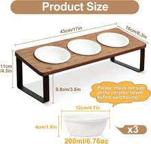 Load image into Gallery viewer, GUUSII HOME Raised Cat Bowl with Stand Kitty Dish Ergonomic Elevated Feeding