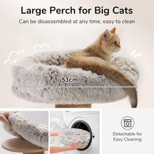 Load image into Gallery viewer, FUKUMARU Cat Scratching Post with Bed, Plant Style Kitten Scratcher, Solid Wood