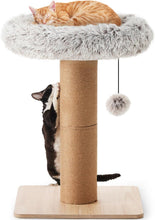 Load image into Gallery viewer, FUKUMARU Cat Scratching Post with Bed, Plant Style Kitten Scratcher, Solid Wood