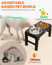 Load image into Gallery viewer, Toozey Raised Dog Bowl Height-Adjustable, Elevated Dog bowls with 2x 1200ml