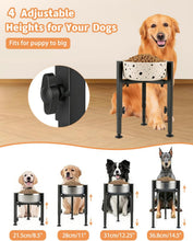 Load image into Gallery viewer, Single Dog Bowl Stand, Adjustable Height Metal Feeding Rack STAND ONLY