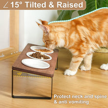 Load image into Gallery viewer, GUUSII HOME Raised Cat Bowl with Stand Kitty Dish Ergonomic Elevated Feeding