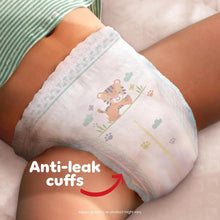 Load image into Gallery viewer, Pampers Baby-Dry Paw Patrol Nappy Pants, Size 8 117 pack