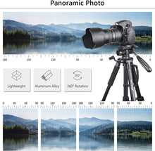 Load image into Gallery viewer, ARTCISE Camera Tripod for Camera, 159 cm Smartphone Tripod Stand with Phone Hold