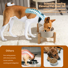 Load image into Gallery viewer, Elevated Dog Bowls Set Raised Dog Bowls with Wooden Stand Ceramic GREY
