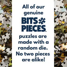 Load image into Gallery viewer, Bits and Pieces Spring Cabin Jigsaw Puzzle 300pcs