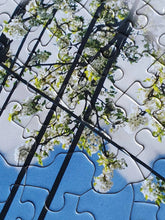 Load image into Gallery viewer, Puzzle in Puzzle (Spring), Areaware, 500 pieces CHALLENGING