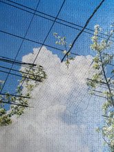 Load image into Gallery viewer, Puzzle in Puzzle (Spring), Areaware, 500 pieces CHALLENGING