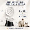 Elevated Slow Feeder Bowl - Ceramic Cat Bowl - Tilted Raised Anti Vomiting - Whisker Friendly - Dishwasher & Microwave Safe - 6 Inch