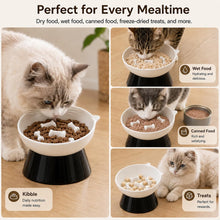 Load image into Gallery viewer, Elevated Slow Feeder Bowl - Ceramic Cat Bowl - Tilted Raised Anti Vomiting - Whisker Friendly - Dishwasher &amp; Microwave Safe - 6 Inch
