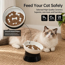 Load image into Gallery viewer, Elevated Slow Feeder Bowl - Ceramic Cat Bowl - Tilted Raised Anti Vomiting - Whisker Friendly - Dishwasher &amp; Microwave Safe - 6 Inch
