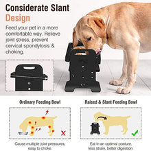 Load image into Gallery viewer, Anti-Slip Elevated Double Dog Bowl Adjustable Height Pet Feeding Dish Stainless Steel Foldable
