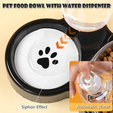 Load image into Gallery viewer, 3-in-1 Cat Food and Water Bowl Set Tilted Stainless Steel Bowls with Stand
