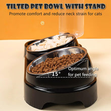 Load image into Gallery viewer, 3-in-1 Cat Food and Water Bowl Set Tilted Stainless Steel Bowls with Stand
