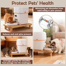 Load image into Gallery viewer, SZEE Automatic Cat Feeder Elevated Stand Cat Table Raises Feeder Bowls and water
