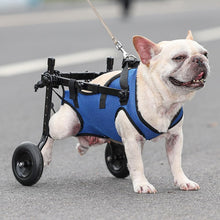 Load image into Gallery viewer, Dog Wheelchair, Adjustable Pets Cart Wheelchair for Back Legs, Dog Leg Brace
