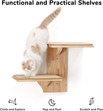 Load image into Gallery viewer, FUKUMARU Cat Wall Shelves, 2 Platform Cats Wall Furniture  Tree Shape Wall-Mount
