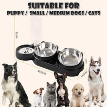 Load image into Gallery viewer, 3-in-1 Cat Food and Water Bowl Set Tilted Stainless Steel Bowls with Stand
