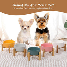 Load image into Gallery viewer, Grey Ceramic Elevated Raised Cat Bowl,Cat Food Dish with Stand, Raised Cat Food
