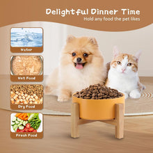 Load image into Gallery viewer, Grey Ceramic Elevated Raised Cat Bowl,Cat Food Dish with Stand, Raised Cat Food
