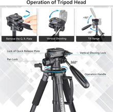 Load image into Gallery viewer, ARTCISE Camera Tripod for Camera, 159 cm Smartphone Tripod Stand with Phone Hold
