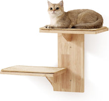 Load image into Gallery viewer, FUKUMARU Cat Wall Shelves, 2 Platform Cats Wall Furniture  Tree Shape Wall-Mount
