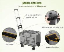 Load image into Gallery viewer, Pecute Cat Carrier with Wheels, Portable Pet Carrier on Wheels with Stable Structure, Breathable Mesh Pet Trolley Bag, Pet Carrier with Wheels Suitable for Both Long and Short Trips, Black
