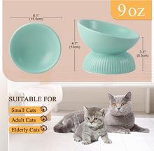 Load image into Gallery viewer, Ceramic Raised Cat Food Bowl - Tilted Elevated Cat Bowl Anti Vomit  6.1 inch
