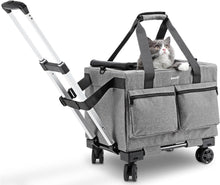 Load image into Gallery viewer, Pecute Cat Carrier with Wheels, Portable Pet Carrier on Wheels with Stable Structure, Breathable Mesh Pet Trolley Bag, Pet Carrier with Wheels Suitable for Both Long and Short Trips, Black

