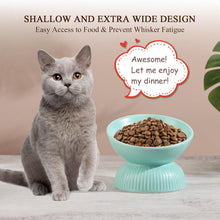 Load image into Gallery viewer, Ceramic Raised Cat Food Bowl - Tilted Elevated Cat Bowl Anti Vomit  6.1 inch
