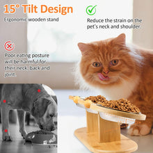 Load image into Gallery viewer, Cat Feeding Station Stainless Steel Elevated Cat Bowls with 15° Tilted Wood Stan
