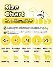 Load image into Gallery viewer, Dono Dog Nappies Female / Male with Full Wrapped Stretchy Waist, 10 PCS
