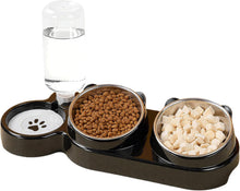 Load image into Gallery viewer, 3-in-1 Cat Food and Water Bowl Set Tilted Stainless Steel Bowls with Stand
