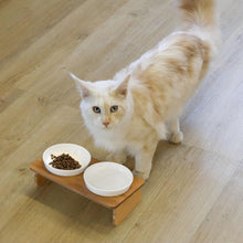 Load image into Gallery viewer, Comsaf Raised Cat Bowl with Stand, Melamine Elevated Cat Food Bowl, 15° Tilted
