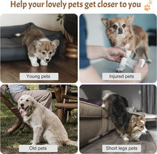 Load image into Gallery viewer, Wide Dog Steps Stairs for Bed 3 Steps 32 x 60 x 30CM High for Dogs Dog Ramp
