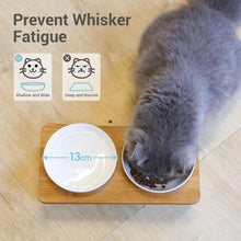 Load image into Gallery viewer, Comsaf Raised Cat Bowl with Stand, Melamine Elevated Cat Food Bowl, 15° Tilted
