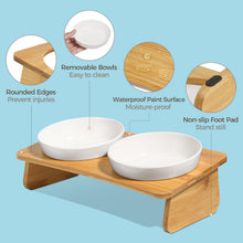 Load image into Gallery viewer, Comsaf Raised Cat Bowl with Stand, Melamine Elevated Cat Food Bowl, 15° Tilted
