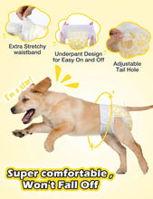 Load image into Gallery viewer, Dono Dog Nappies Female / Male with Full Wrapped Stretchy Waist, 10 PCS
