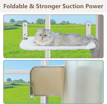 Load image into Gallery viewer, PEFUNY Cordless Folding Cat Window Perch, Cat Hammock for Window and Wall, with 4 Suction Cups, Sturdy Setal Frame for Glass Windows and Interior Walls (White Large)

