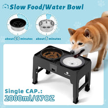 Load image into Gallery viewer, GUUSII HOME Raised Dog Bowl with Stand Elevated Feeding Station Feeder Large
